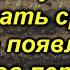 Появились всходы петунии Срочно делаем ТАК