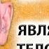 Тело мысли эмоции Кто Ты на самом деле Берт Хардинг