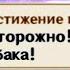 ОСТОРОЖНО ЗЛАЯ СОБАКА Геншин импакт СЕКРЕТНЫЕ достижения видео 100 Genshin Impact