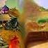 Original N Sane Trilogy Crash 3 MASHUP Toad Village Gee Wiz Double Header