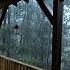 Listen To The Sound Of Rain Online 8 Hours Sounds Of Nature