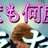 あの人が動きました 昨晩あの人が何度も何度も考えた事 恋愛タロット