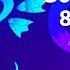 Любимые хиты 80 х 2000 х Концерт дискотека в Витебске ПРЯМОЙ ЭФИР