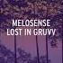 Melosense Lost In Gruvv Extended Mix