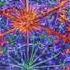 Etnica Mind Altering Drugs Spirit Zone 99