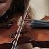 Aubree Oliverson Haydn Violin Concerto No 1 In C Major