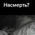 Ликвидация сериал Shorts сериал ликвидация машков