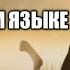 Умар ибн аль хаттаб 11 серия на русском языке