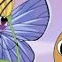 Animated Series Patron The Dog Episode 9 Unusual Butterflies