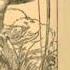 The Beasts Of Tarzan By Edgar Rice Burroughs Chapter 21 21 The Law Of The Jungle