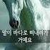 AI도 할 말이 없네