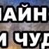 Вселенная случайность или чудо По следам тайны