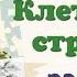 Краткий пересказ 3 Клеточное строение растений Свойства клетки Биология 6 класс Пономарева