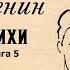 Я красивых таких не видел
