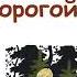 Л Воронкова Дорогой подарочек Рассказы Воронковой Слушать