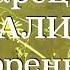 ЗАГРОБНАЯ УЧАСТЬ ЧЕЛОВЕКА ЗАВИСИТ ОТ СИЛЫ ПОКАЯНИЯ Старец ВИТАЛИЙ Сидоренко Наставления 33 500