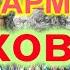 РАЗБОР ПОД ГАРМОНЬ ВОЛХОВСКАЯ ЗАСТОЛЬНАЯ НАШ ТОСТ