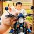 Baby And Pig So Cute Shorts Shortvideo