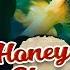 Honey Honey Video Song Ayan Suriya Tamannaah KV Anand Harris Jayaraj Sun Music