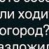 Как Папа С Сыном Играли В Прятки Сбоорник Свежих Анекдотов Юмор Настроение