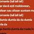 IONUT CERCEL MADE IN ROMANIA DA DUMLA DUMLA DA LYRICS Ionutcercel Madeinromania Lyrics Song
