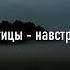 электроптицы навстречу ветру