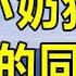 我的小奶狗是儿子的同学 為人處世 幸福人生 生活經驗 情感故事 以房养老 子女孝顺 孝顺 子女不孝 唯美频道