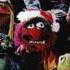 The Muppets Twelve Days Of Christmas