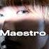 Seventeen Maestro Speed Up