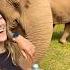 Chiang Mai Io Lei L Elefante Geloso Abbyavery Shorts
