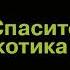 Аудиокнига Спасите котика И другие секреты сценарного мастерства