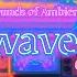 Vaporwave Synthwave Chillout The Perfect Background Music For Relaxing Studying And Sleep