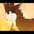 SURVIVOR Warrior Cats Warrior Cats Edit