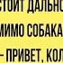 Анекдоты про Собак и хозяев анекдот про собаку и дальнобойщика про собаку Баскервилей