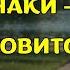 7 признаков того что БОГ ГОТОВИТ ВАМ ОГРОМНОЕ БЛАГОСЛОВЕНИЕ Христианская Мотивация