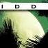 FREE Reggae Instrumental Beat 2021 MOONLIGHT RIDDIM