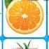 Guess The Fruit And Vegetable In 3 Seconds EASY To IMPOSSIBLE