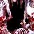 Cannibal Corpse Butchered At Birth 1991 Full Album