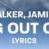 Alan Walker X Jamie Miller Running Out Of Roses Lyrics