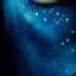 AVATAR SOUNDTRACK 2009 04 The Bioluminescence Of The Night BY JAMES HORNER Wmv