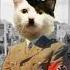 Adolf Kitler VS Meowseph Stalin PART 2