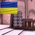 За цвет голубых очей