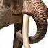 Palaeoloxodon Antiquus Sounds Straight Tusked Elephant