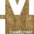 CamelPhat Feat Cari Golden Freak Matthias Tanzmann Remix MHD085