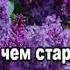 Караоке Сирень