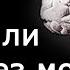 Можно ли жить без мозга Последние данные Алексей Паевский Нейроновости Лекции по медицине