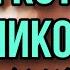 ШОК КОТЮНЯ СТАЛ НИКОЛАЕМ ОЛЬГА И КОТЮНЯ