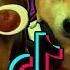 Alice Deejay Better Wooff Alone Funny Dogs Barking To TikTok Song
