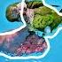 Perfect Animal Compilation Parrot Birds Cute Pets Animals Trendingshorts Trending Parrots