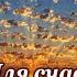 Для счастья не нужно особой причины Стих Шинкарева С
